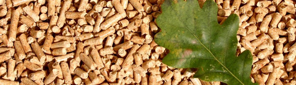 


Θέρμανση με Pellet


Τα pellet είναι ένα καύσιμο αποτελούμενο από ξύλο, απαλλαγμένο από κάθε υγρασία, συμπιεσμένο σε μικρούς κυλίνδρους. Περισσότερα...


